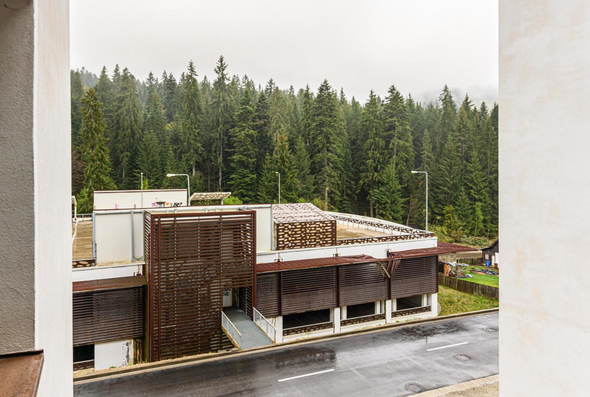 Alpin Clabucet Studio Predeal Bagian luar foto
